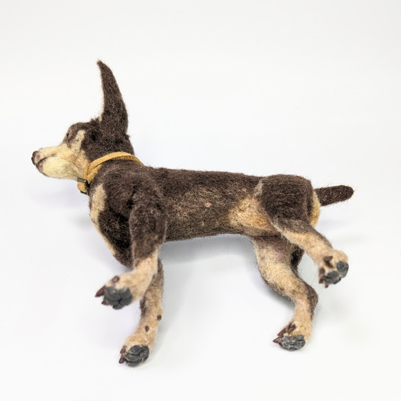 【愛されシニア】ミニピン【鼻先からおしりまで9.5cm細身】羊毛フェルト犬 シニア ペットロス 11枚目の画像