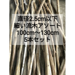 送料無料○南信州アルプス天然流木 枝流木 10本 格安アソート
