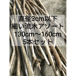 【送料無料】南信州産 天然流木 【直径3cm以下 細い流木】【130〜160cm】枝流木 【アソート 5本セット 】長い 1枚目の画像