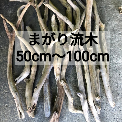 南信州産【まがり流木】【50cm〜100cm（1m）】変形 枝幹 天然流木 格安 