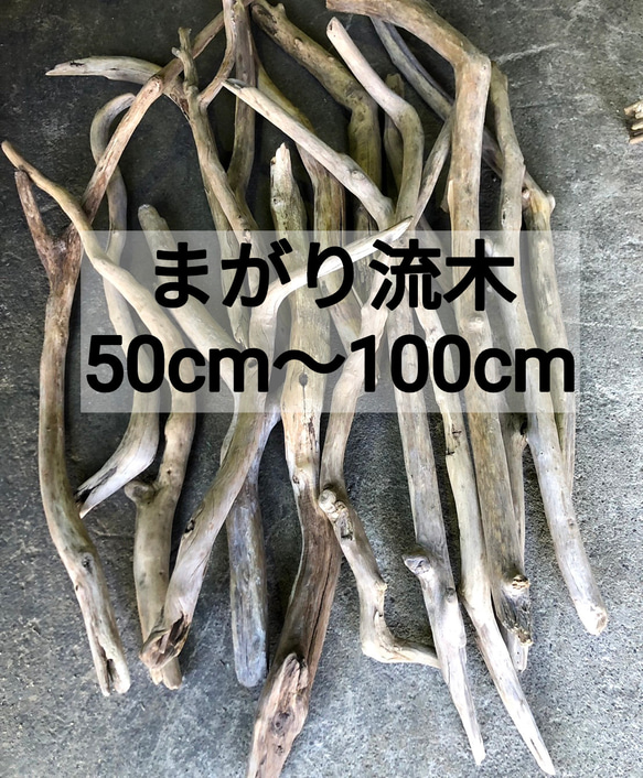 南信州産【まがり流木】【50cm〜100cm（1m）】変形 枝幹 天然