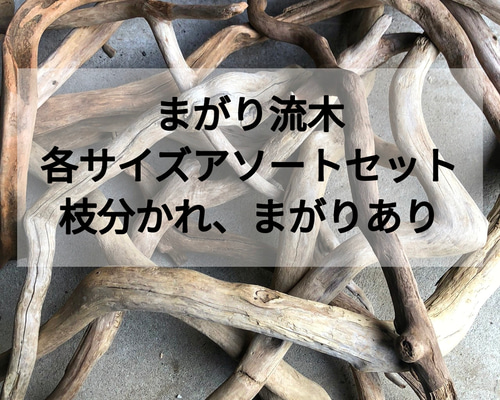 大きめの天然流木　1m インテリア向け　湘南産 大きめの天然流木 1m インテリア向け 湘南産 【公式通販】