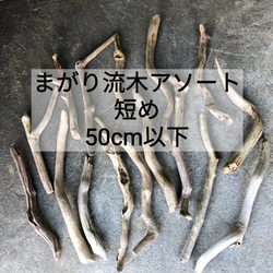 送料無料○【長い流木】【240cm〜270cm前後】大型流木 南信州産 