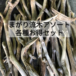 まがり屋流木の販売中作品一覧 | ハンドメイド通販・販売のCreema