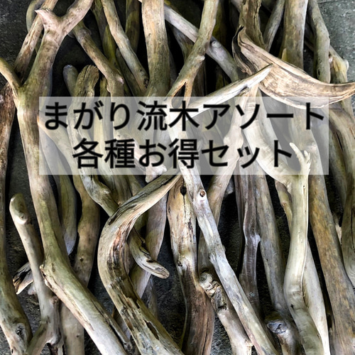 流木(美形)B 透ける