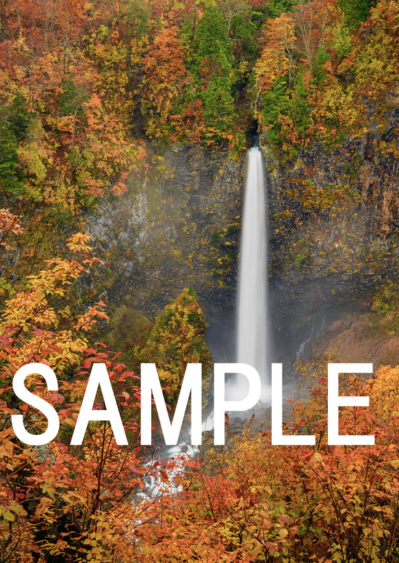 紅葉の白水の滝　インテリアアートポスター　036 4枚目の画像