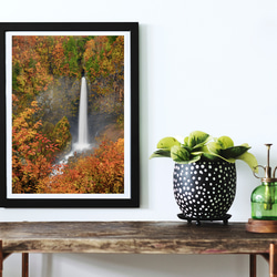 紅葉の白水の滝　インテリアアートポスター　036 1枚目の画像
