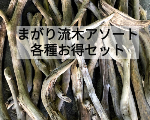 南信州産【まがり流木】【150cm〜200cm】長い流木 変形 枝幹