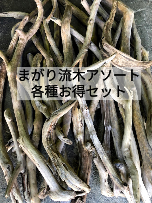 南信州産【まがり流木】【150cm〜200cm】長い流木 変形 枝幹