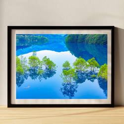 秋扇湖の水中林　インテリアアートポスター　038 2枚目の画像