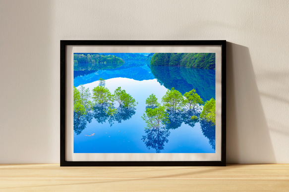秋扇湖の水中林　インテリアアートポスター　038 2枚目の画像