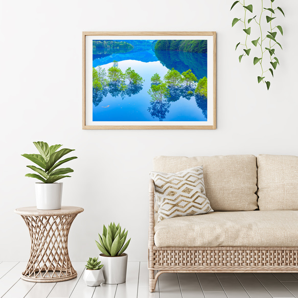 秋扇湖の水中林　インテリアアートポスター　038 3枚目の画像
