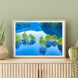 秋扇湖の水中林　インテリアアートポスター　038 1枚目の画像