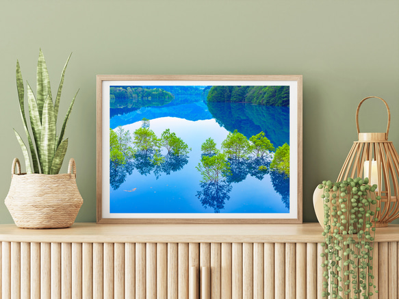 秋扇湖の水中林　インテリアアートポスター　038 1枚目の画像
