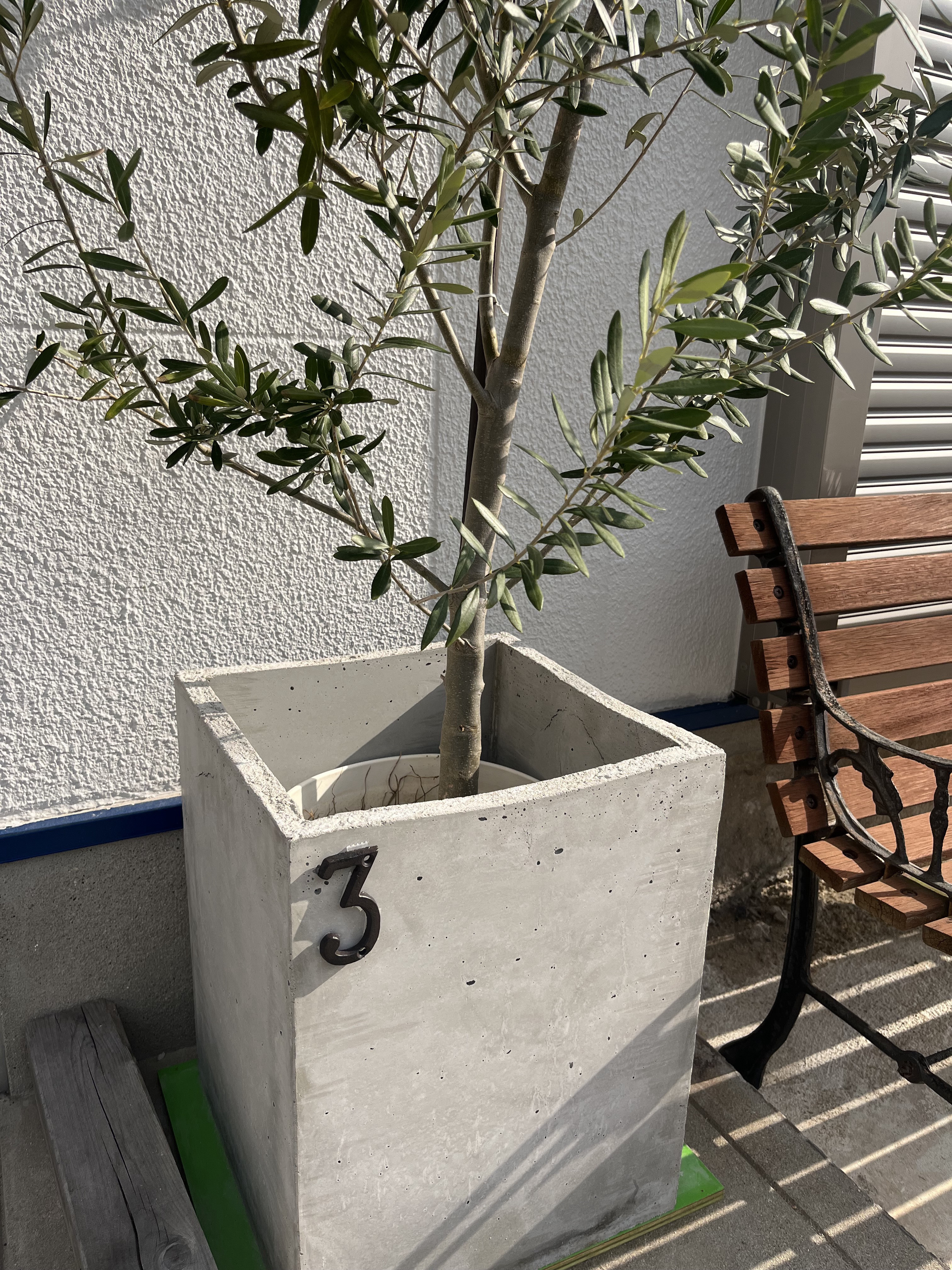 モルタル　植木鉢カバー