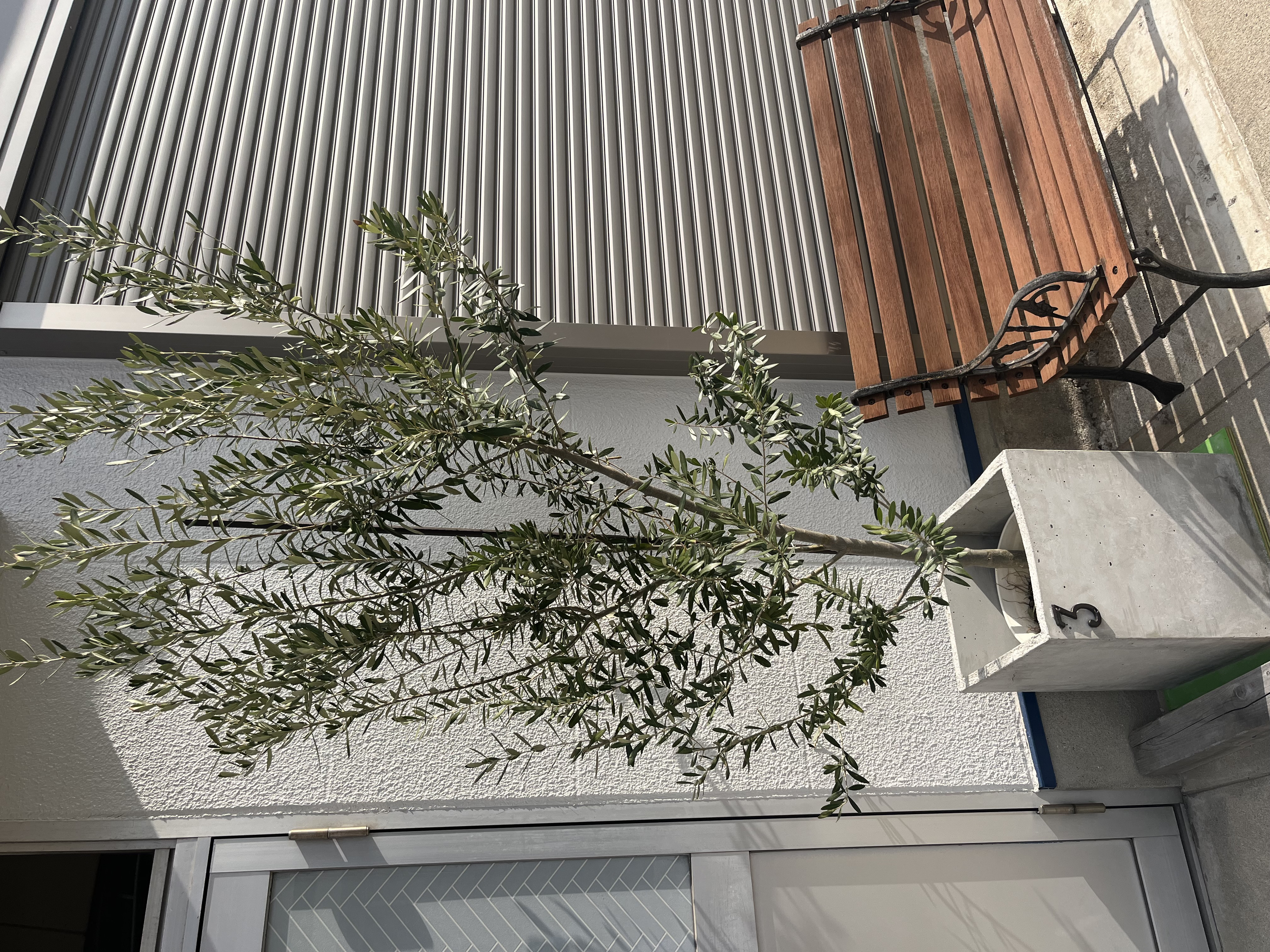 モルタル　植木鉢カバー