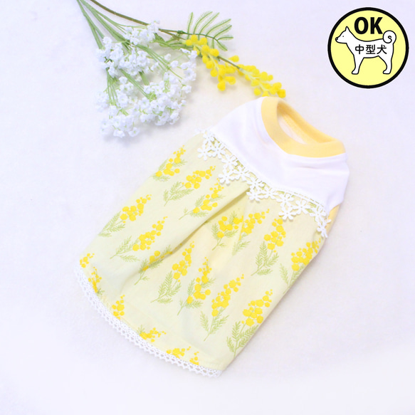犬服 ミモザ柄ワンピース 【公式通販】