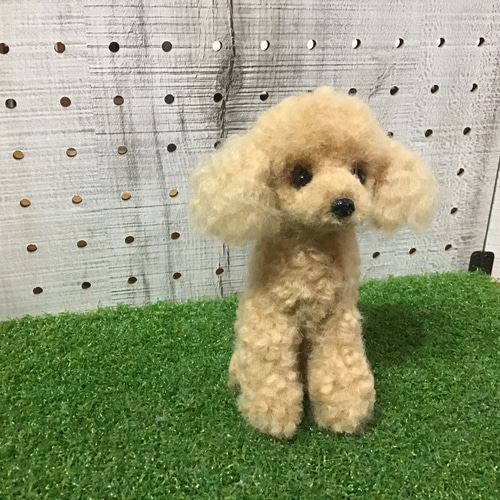 トイプードル（アプリコット） 羊毛フェルト コーギー大好きママ