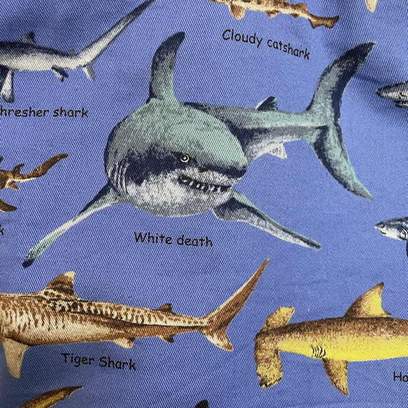 大きめサイズ　サメ好きすぎレッスンバック　ブルー/11号帆布ブルー切替　35×45 ループからバッグ底35cm対応 2枚目の画像