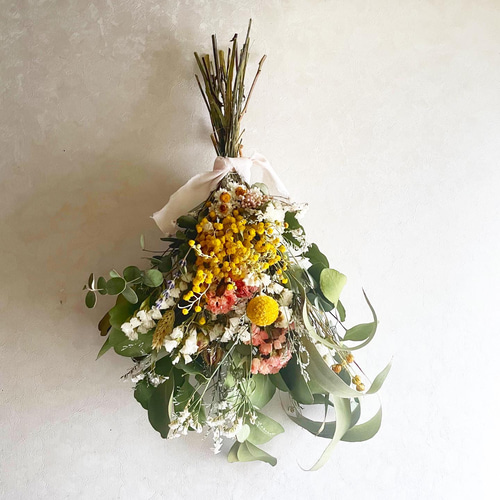 ✧˖*°春待ち真珠葉ミモザ のドライフラワースワッグ ドライフラワー  