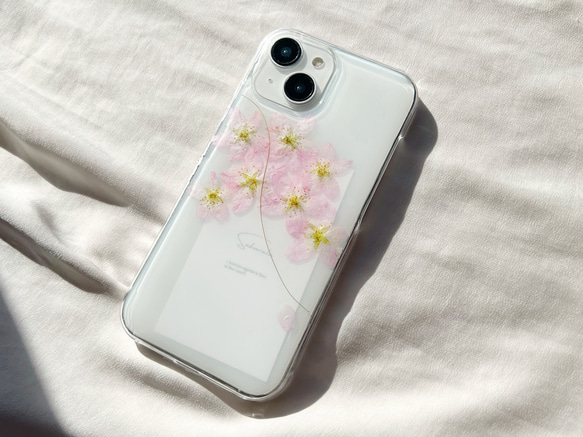 【4color】24年春  桜 sakura*la  さくらら 桜の押し花スマホケース 11枚目の画像