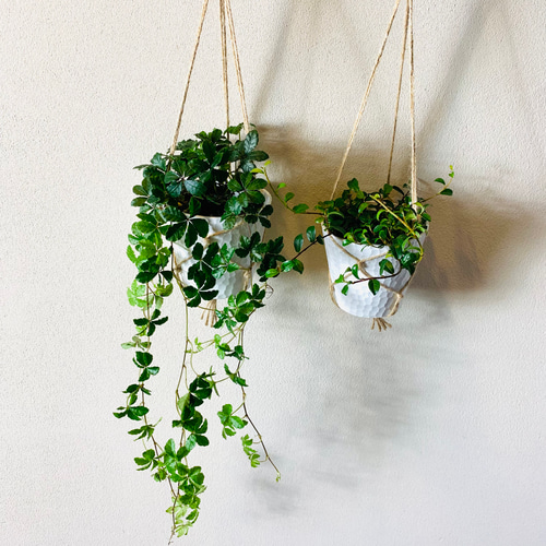 美品】ドイツ 壁掛け 錫飾り バベット シュバイツァー 4個セット Toy