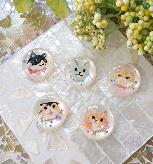 猫の顔カボション☆5個 r28 ネコ/ボタン/カボション/動物 ボタン こう