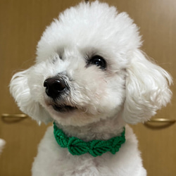 犬用チョーカー 首飾り☆葉っぱ 9枚目の画像