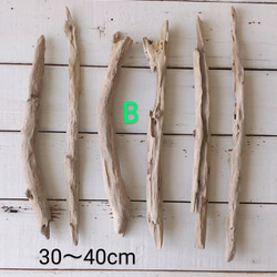 jony様専用ページ　３０～５０ｃｍ　２４本セット 流木素材  インテリア・加工用　 4枚目の画像