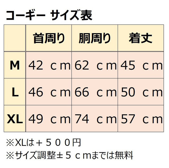  第9張的照片