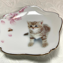 桜と子猫の小皿　その7 2枚目の画像