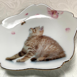 桜と子猫の小皿　その3 2枚目の画像