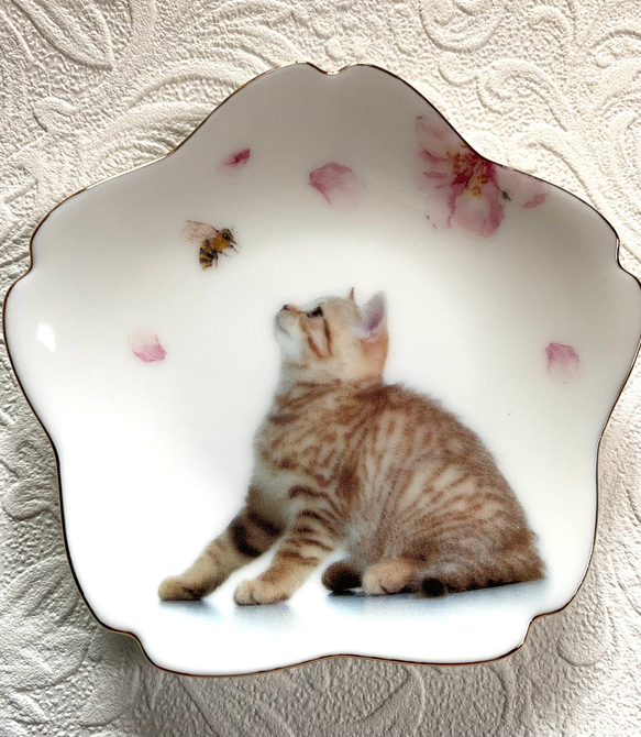 桜と子猫の小皿　その3 1枚目の画像