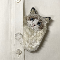 ネコ刺繍のブローチ【ラグドール】 1枚目の画像