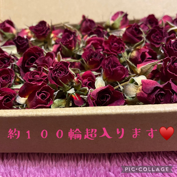 大サービス品★ミニ薔薇B品セット★ミニ薔薇を小型ダンボールいっぱいに詰めます♡100輪以上入ります★ハンドメイド花材に 1枚目の画像