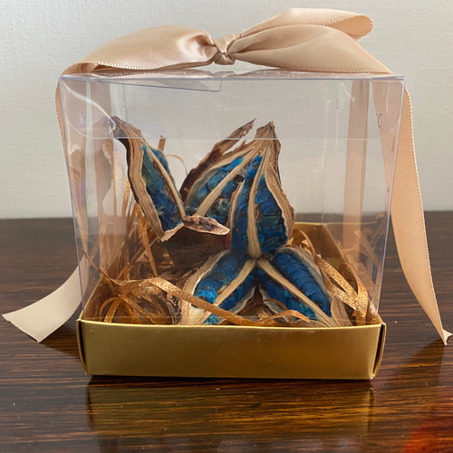 BLUE PEARL コバルトブルー宝石(S) タビビトノキ 扇芭蕉 旅人の木 