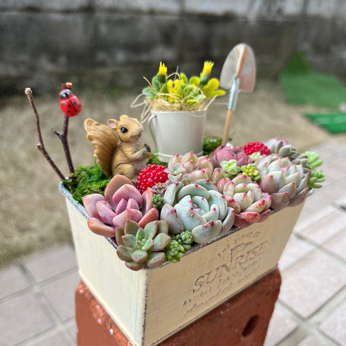 ❤️多肉植物そのまま飾れる❤️籐のかご箱庭風可愛いお家とうさぎさんリスさん ❤️多肉植物そのまま飾れる❤️籐のかご箱庭風可愛いお家とうさぎさん