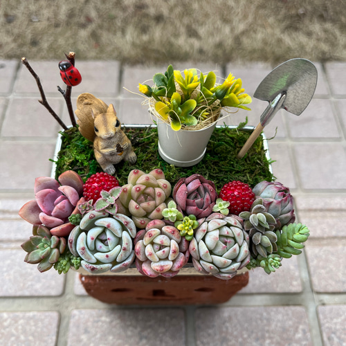 ☆送料無料☆♡そのまま飾れる♡リスちゃんのガーデン♬可愛い多肉植物