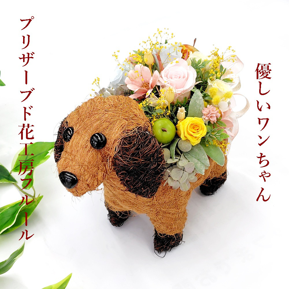 金華山 ミニだるま ぬいぐるみ トラック 大花束 花格子 新格子