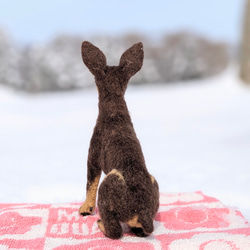 新作【おっとり癒やし系】ミニピン チョコタン 羊毛フェルト犬　ペットロス　プレゼント 7枚目の画像