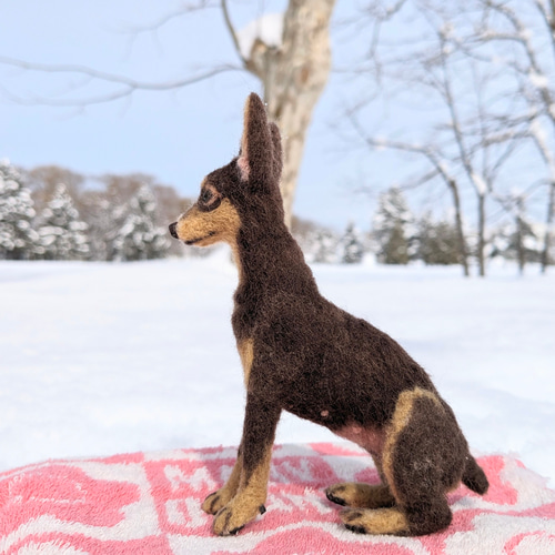 おっとり癒やし系】ミニピン チョコタン 羊毛フェルト犬 ペットロス
