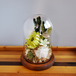 輪菊とジャスミンのガラスドームお供え花　プリザーブドフラワー 3枚目の画像