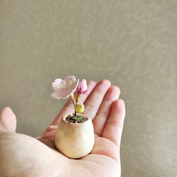 8458.bud 粘土の鉢植え 桜 6枚目の画像
