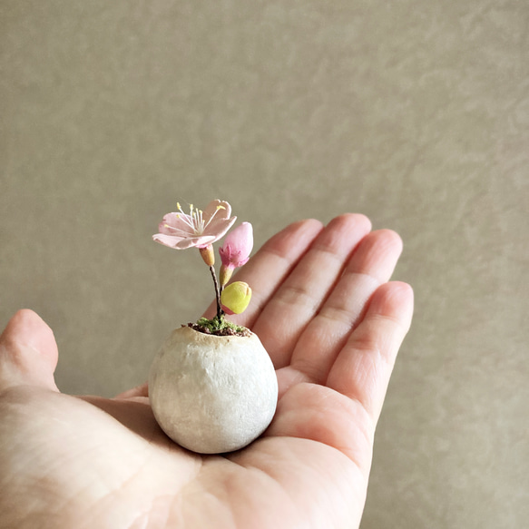 8460.bud 粘土の鉢植え 桜 6枚目の画像