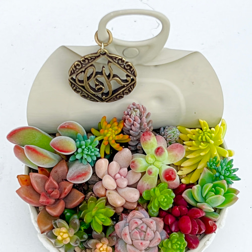 リメ缶寄せ植え♡⃛モチーフ＊多肉植物＊このまま発送 多肉植物