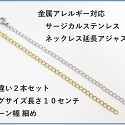 色違い２本10㎝サージカルステンレスネックレス延長アジャスター金属アレルギー対応 1枚目の画像