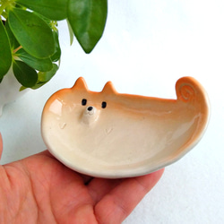 柴犬横向細皿12cm　犬陶器　＊試作品 5枚目の画像