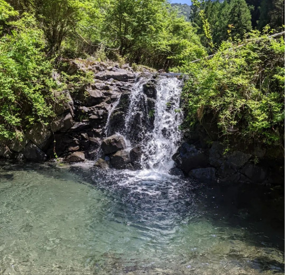 『裏に清流が流れる森のおうち』 1枚目の画像