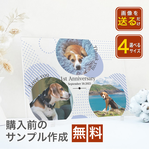 【 アクリルフォトパネル A59 】ペット 犬 dog わんちゃん いぬ 猫  ねこcat ねこちゃん ドッグインテリア 1枚目の画像