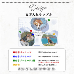 【 アクリルフォトパネル A59 】ペット 犬 dog わんちゃん いぬ 猫  ねこcat ねこちゃん ドッグインテリア 4枚目の画像